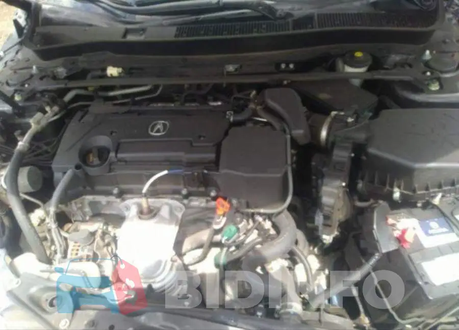 19UUB1F53GA800981 Photo# 11