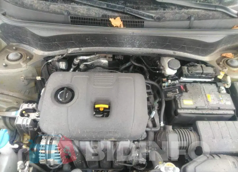 KNDEPCAA9N7252029 Photo# 10