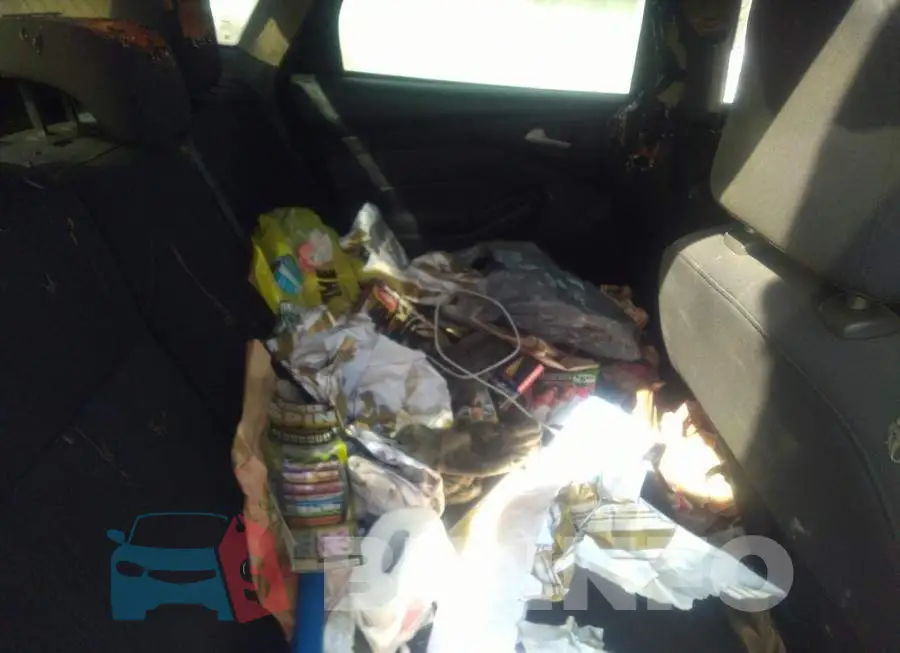 1FADP3F25FL245767 Photo# 8