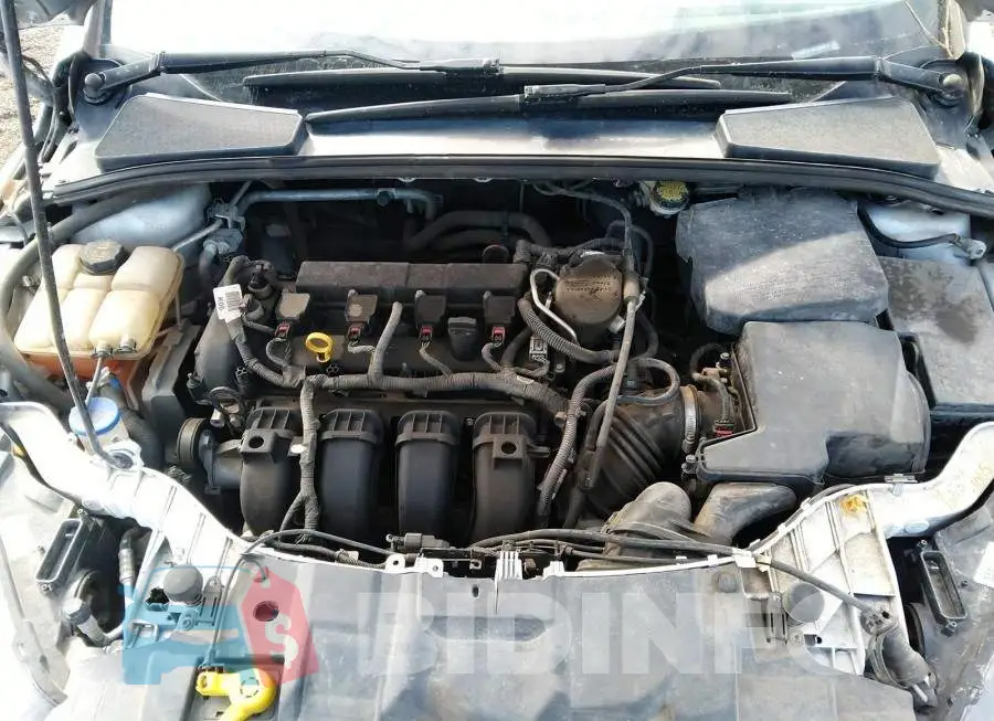 1FADP3F24FL208273 Photo# 10