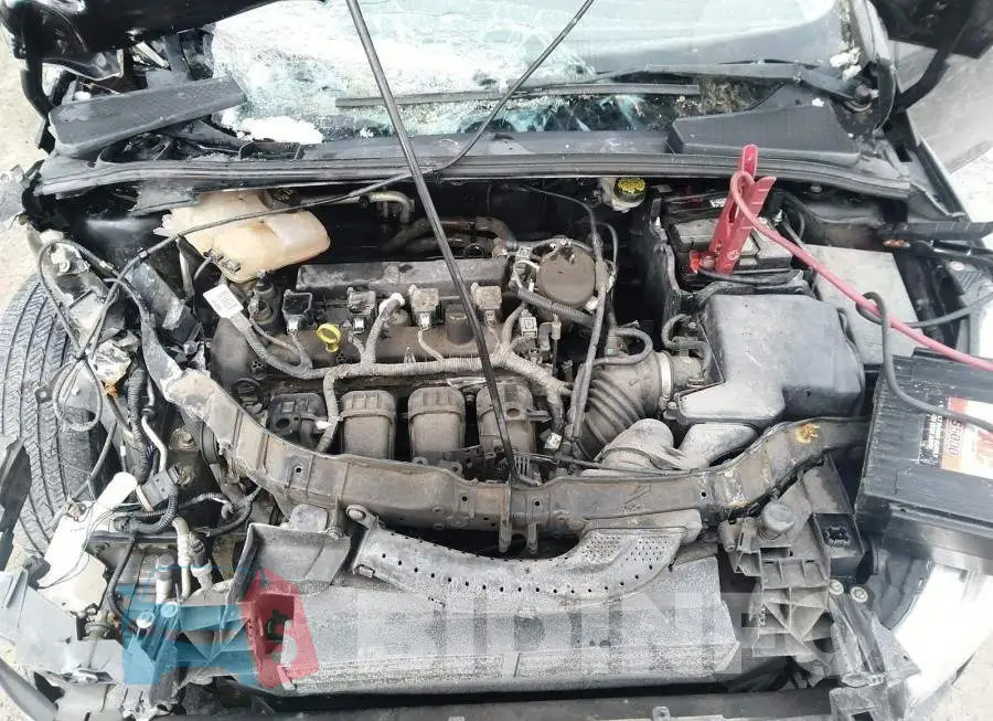 1FADP3K24FL331285 Photo# 10