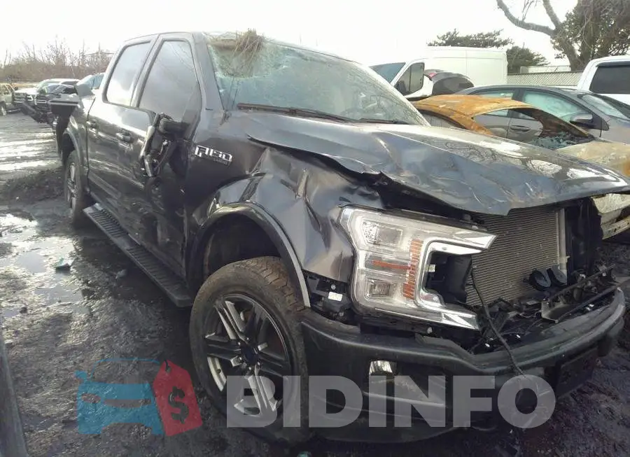 1FTEW1EP5LFB11399 Photo# 1