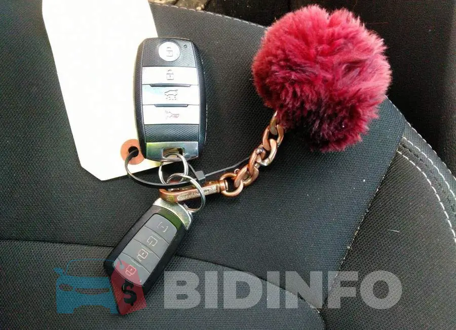 KNDPC3AC8F7691942 Photo# 11