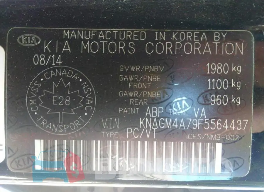 KNAGM4A79F5564437 Photo# 9