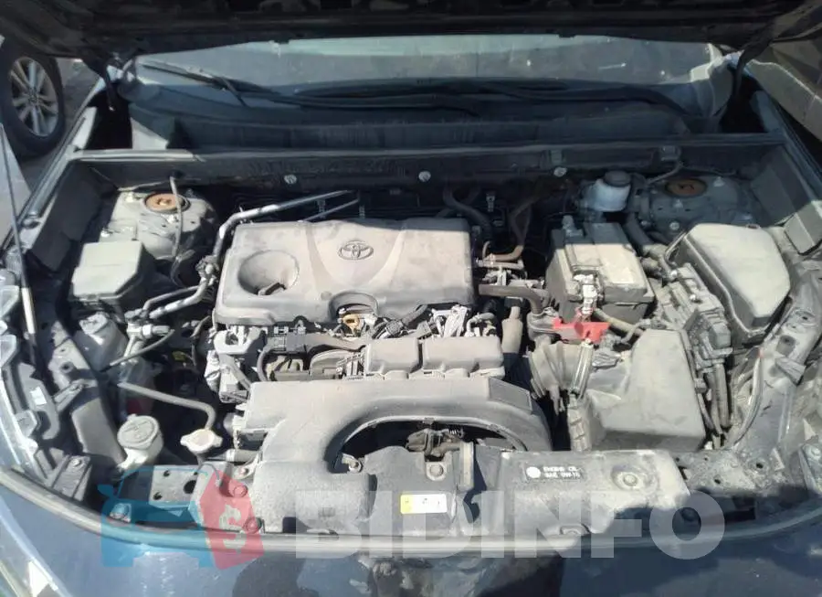 2T3B1RFV9KC032278 Photo# 10