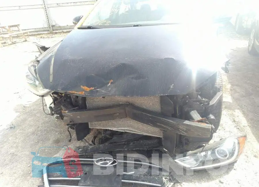 KMHD84LF4JU558442 Photo# 6