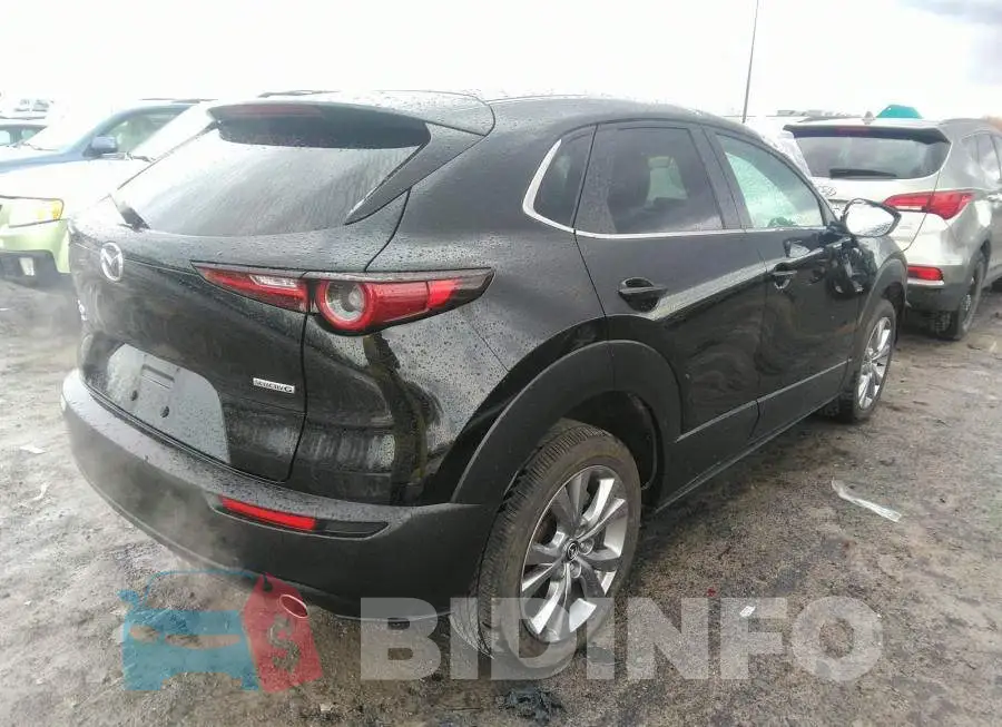 3MVDMBCL5MM250584 Photo# 4