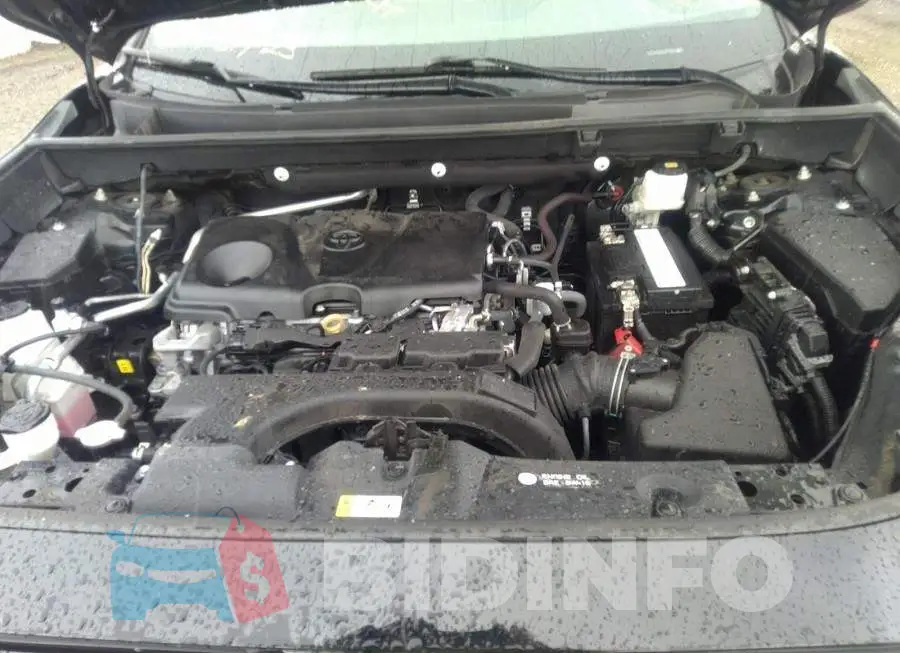 2T3B1RFV6KW029045 Photo# 10