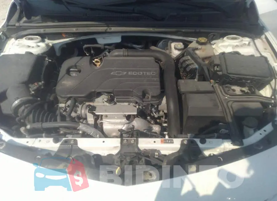 1G1ZE5ST0HF174360 Photo# 10