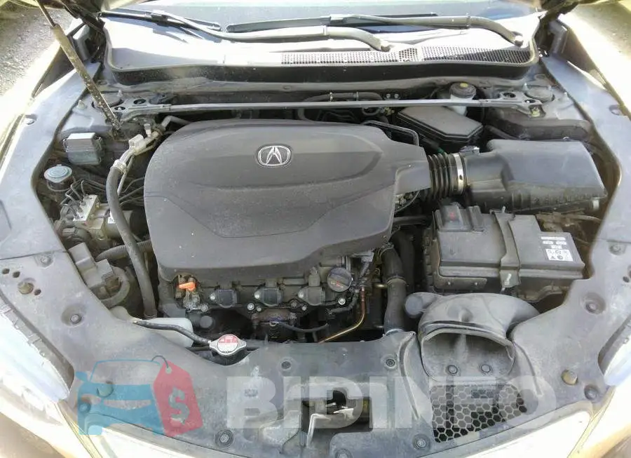 19UUB3F3XFA802039 Photo# 10