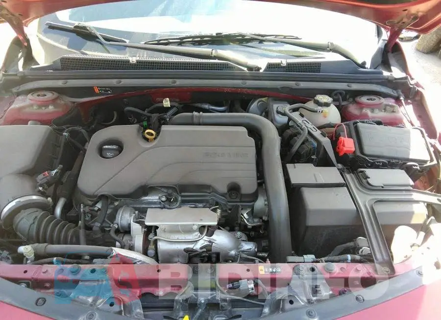 1G1ZD5ST1JF281006 Photo# 10