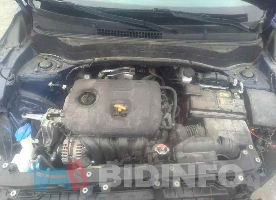 KNDEPCAA8M7064892 Photo# 10