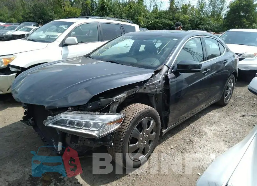 19UUB1F53GA800981 Photo# 2