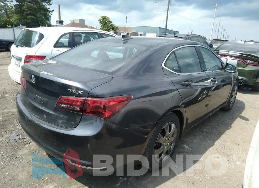 19UUB1F53GA800981 Photo# 4