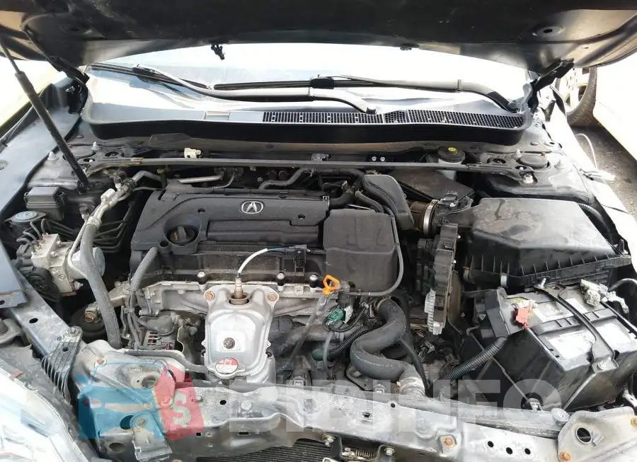 19UUB1F53GA800981 Photo# 10