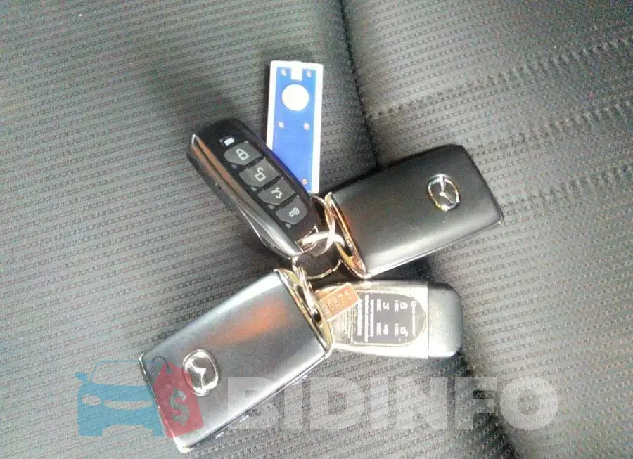JM1DKFC77N1602077 Photo# 11