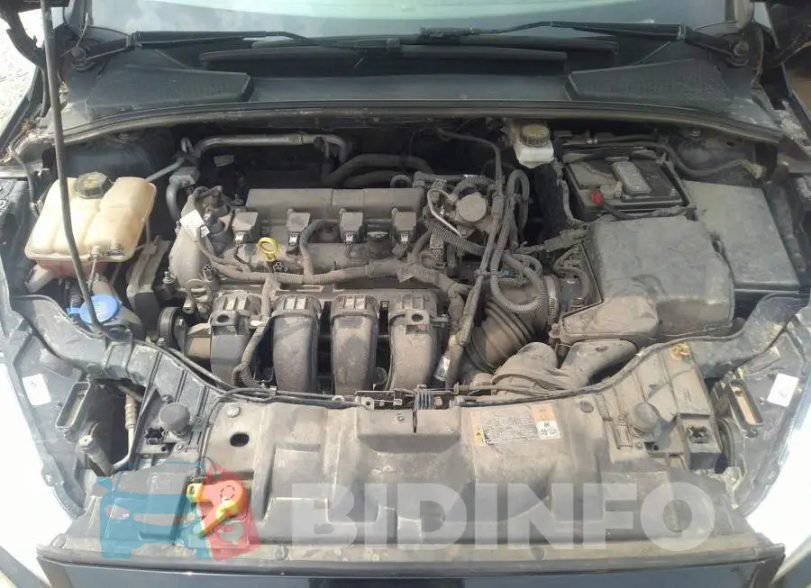 1FADP3K2XHL261133 Photo# 10