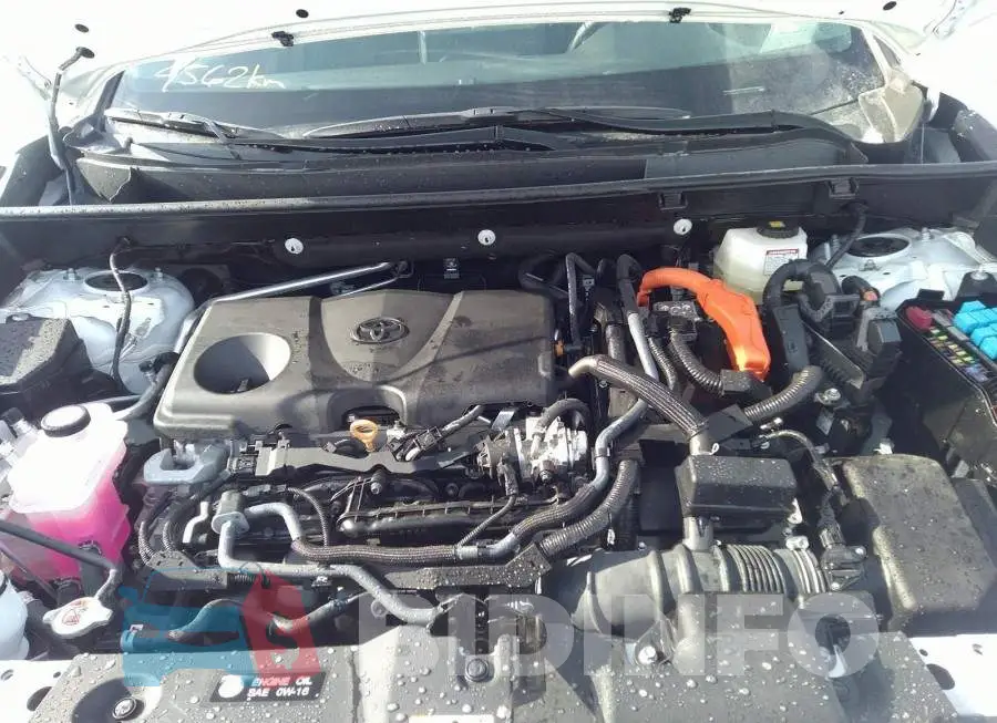 2T34WRFV4NW145049 Photo# 10