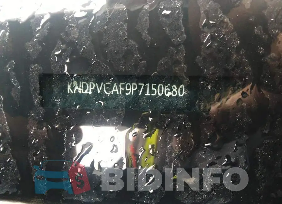 KNDPVCAF9P7150680 Photo# 9