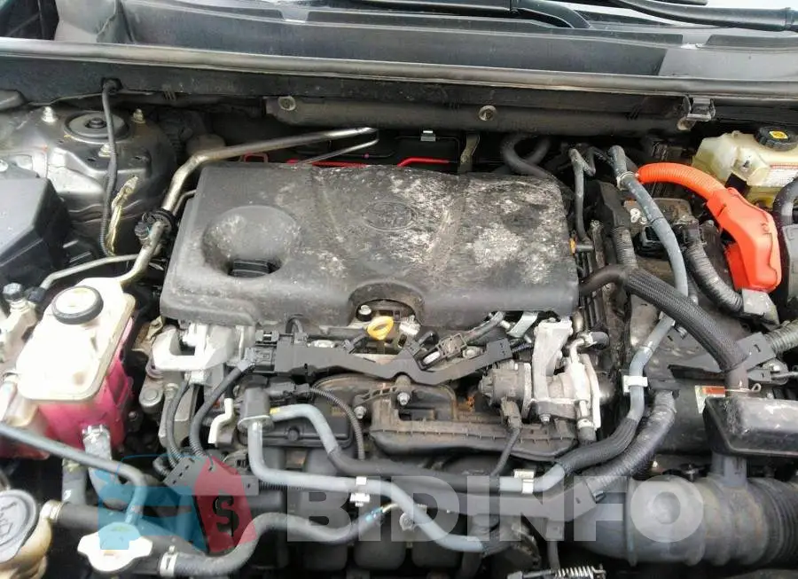 2T3DWRFV8MW119200 Photo# 10
