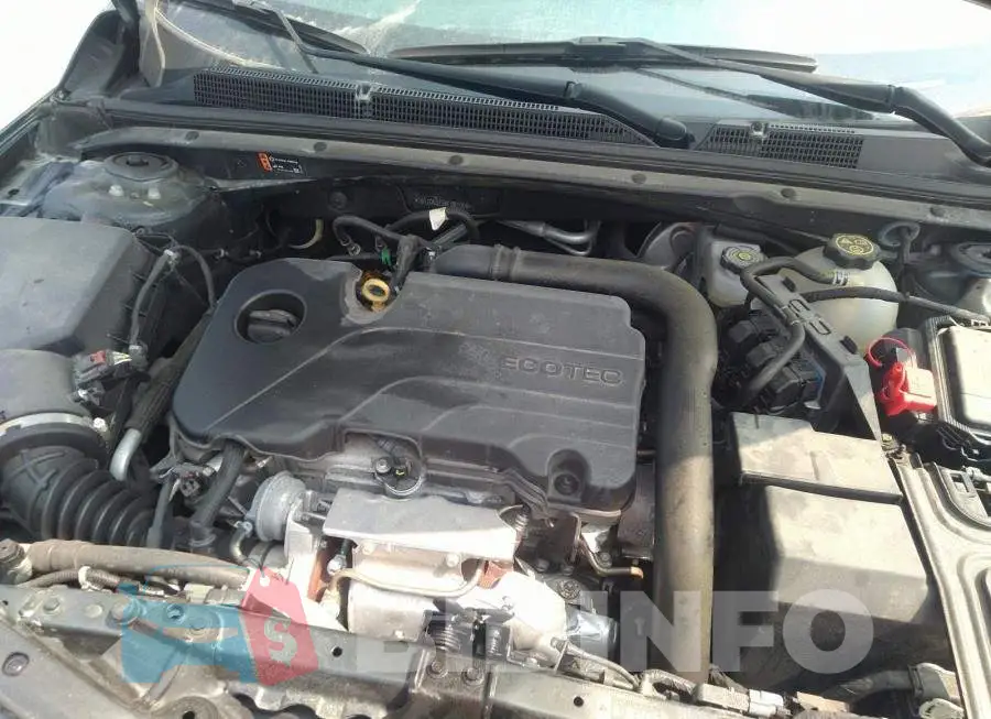 1G1ZD5ST3MF067056 Photo# 10