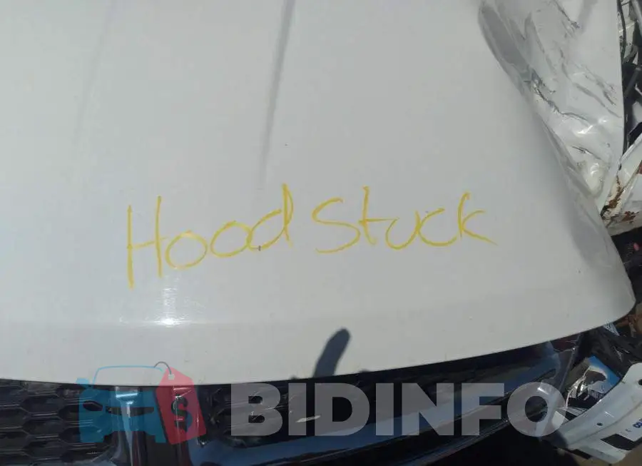 3C4PDCCB0FT518445 Photo# 10