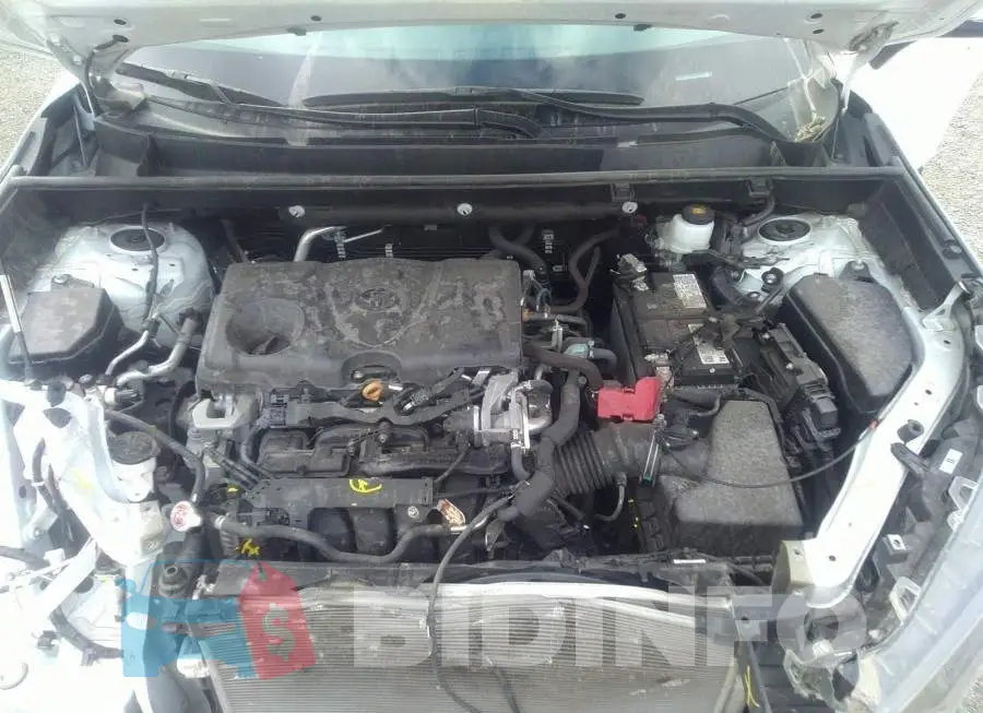 2T3B1RFV3MW209084 Photo# 10