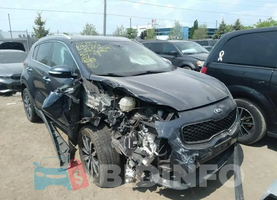 KNDPNCAC8H7279582 Photo# 1