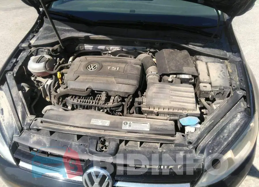 3VW117AUXHM049028 Photo# 10