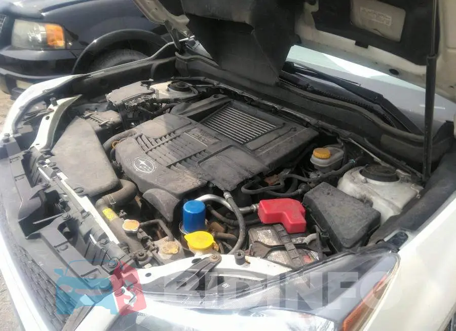 JF2SJHTC8FH489544 Photo# 10