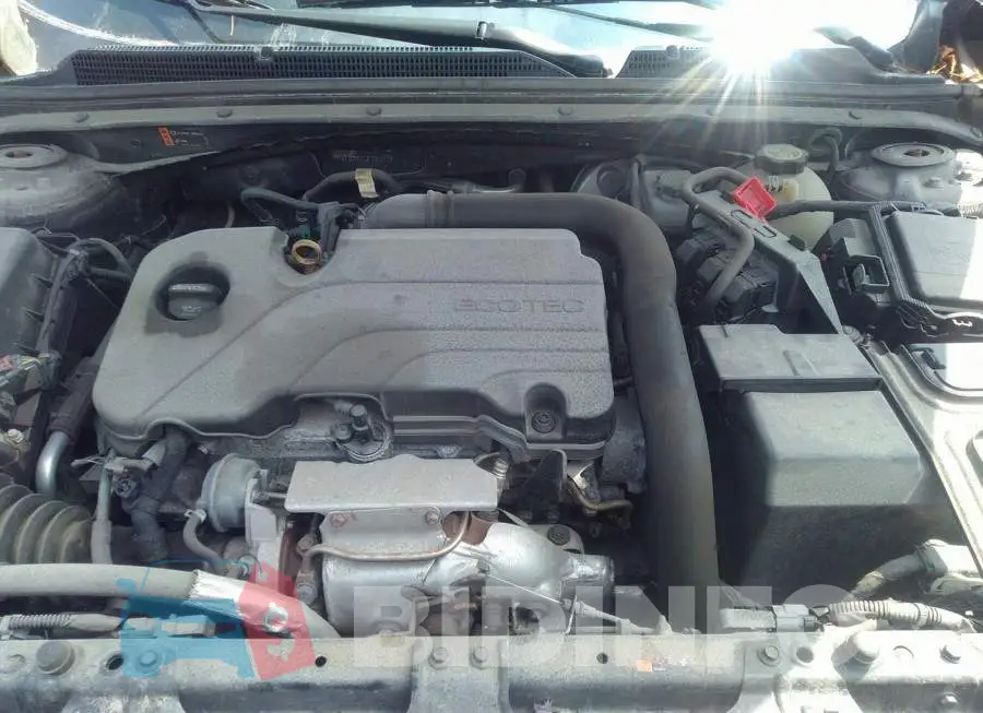1G1ZD5ST7JF183713 Photo# 10
