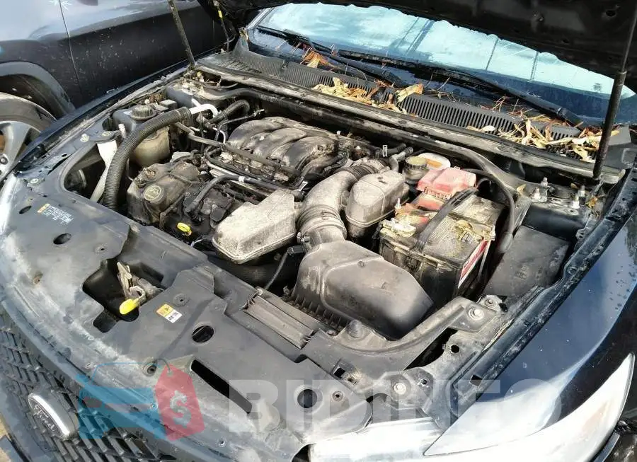 1FAHP2MK9FG139622 Photo# 10