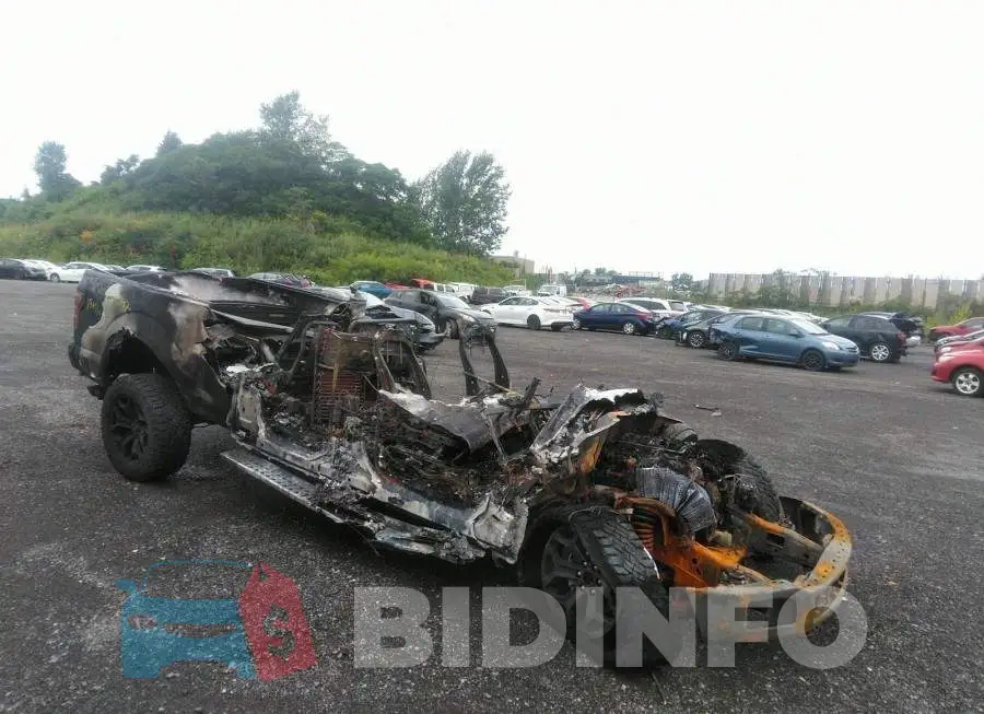 1FTFW1E59LKD84338 Photo# 1