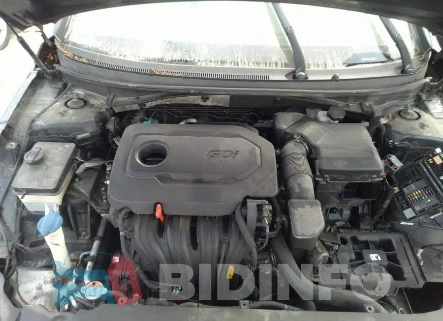 5NPE24AF6HH458893 Photo# 10