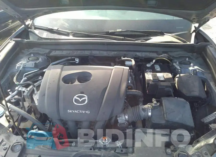 3MVDMBCL0MM206184 Photo# 10