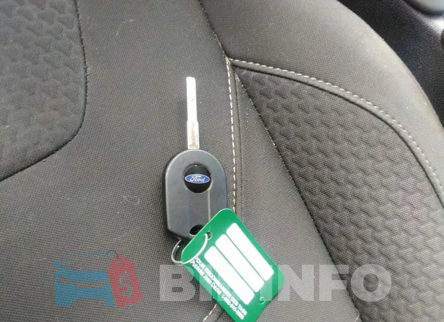 1FADP3F20FL245501 Photo# 11