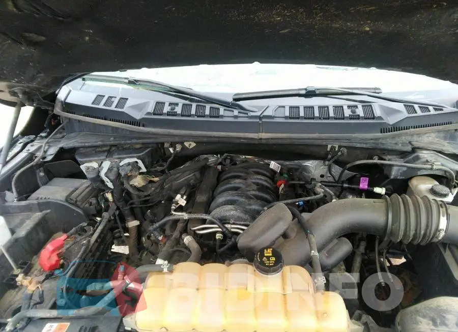 1FTFW1E5XJKD61664 Photo# 10