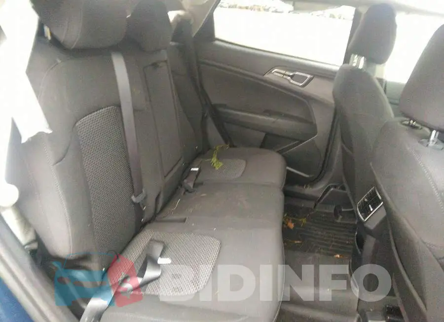 KNDPUCAFXP7162047 Photo# 8