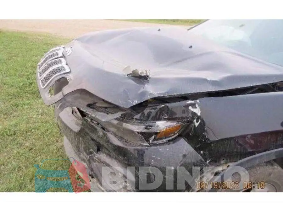 1C4PJLAB7KD206909 Photo# 5
