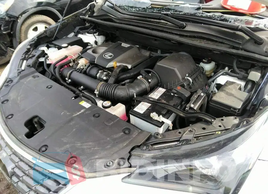 JTJGARDZ0L5015708 Photo# 10
