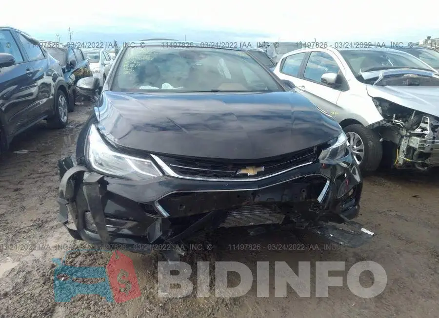 1G1BF5SMXH7240687 Photo# 6