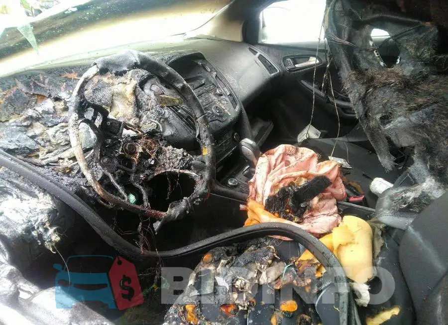 1FADP3K22FL251242 Photo# 6