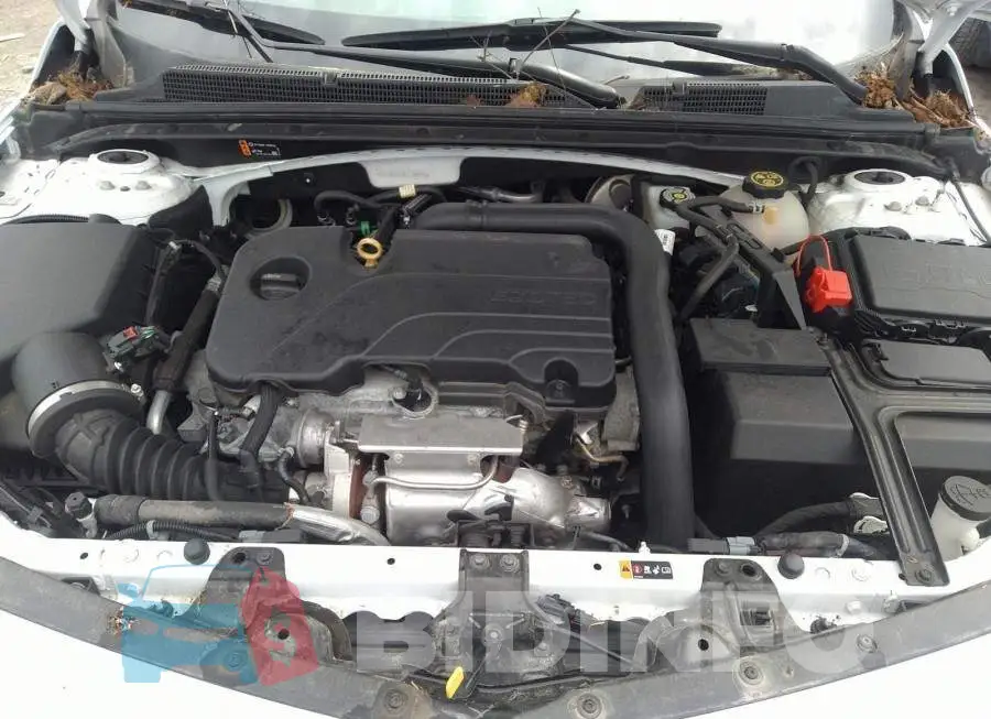 1G1ZD5ST8LF143742 Photo# 10