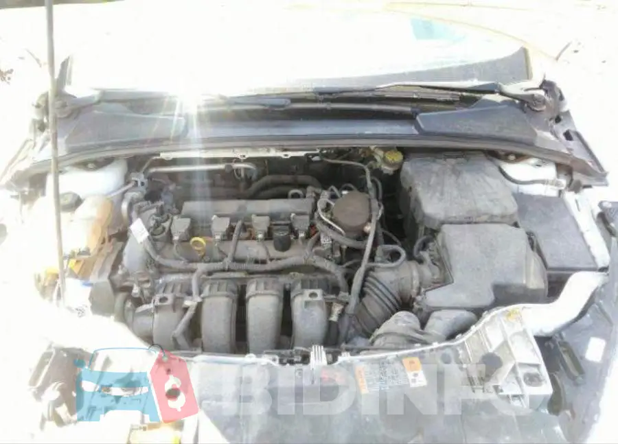 1FADP3K25FL296613 Photo# 11