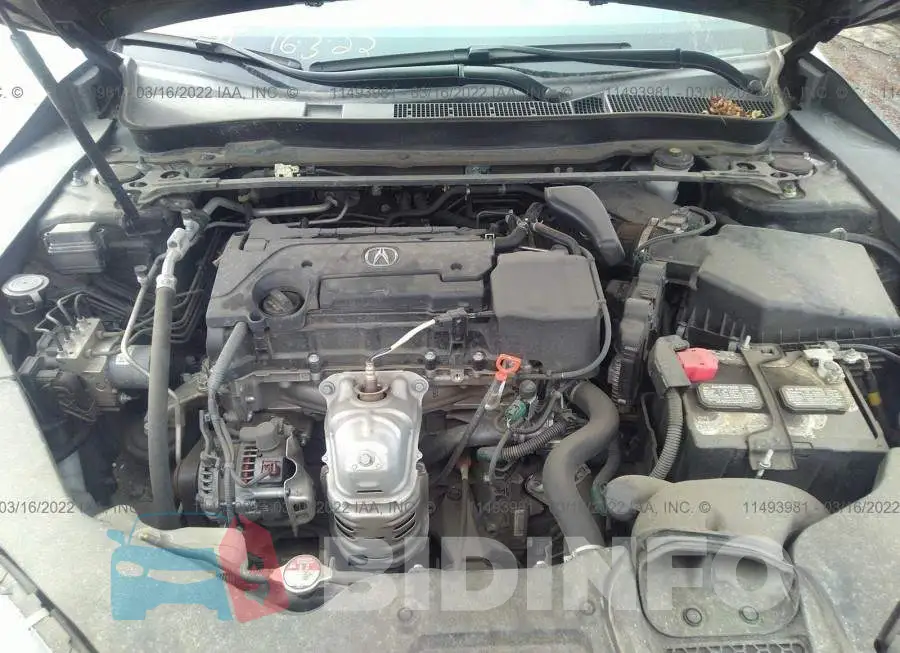 19UUB1F66KA800751 Photo# 10