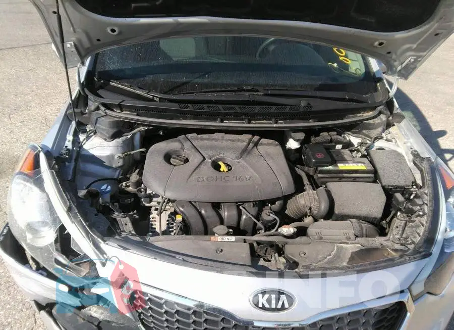KNAFX4A62G5615532 Photo# 10