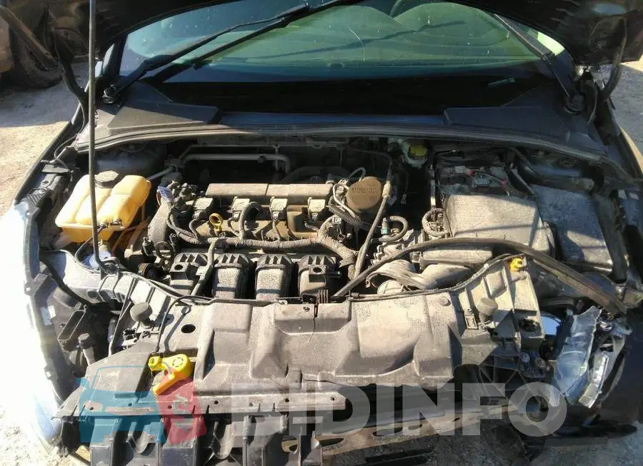 1FADP3E23FL320807 Photo# 10