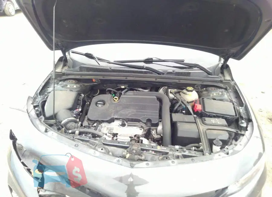1G1ZD5ST5JF201805 Photo# 10