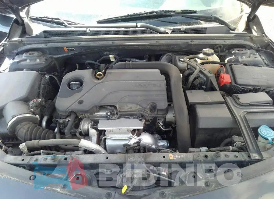 1G1ZD5ST2JF183487 Photo# 10