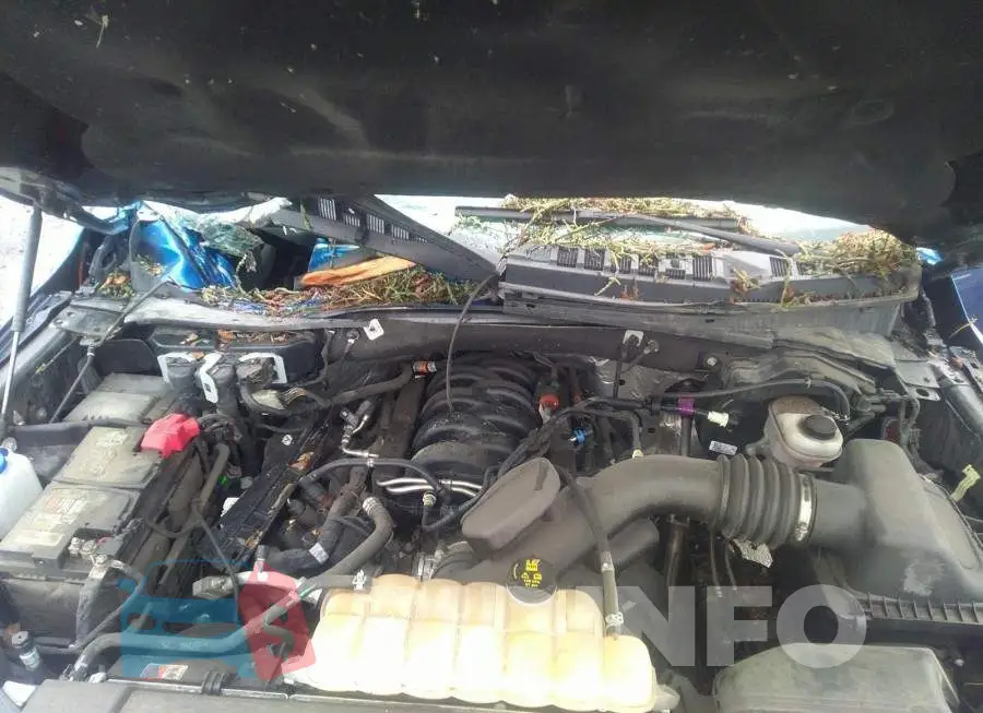 1FTFX1E5XJKF31941 Photo# 10